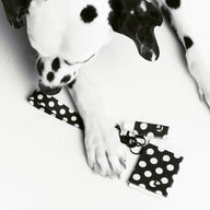 Chapstick Holder Keychain - Polka Dot - Thread¨
