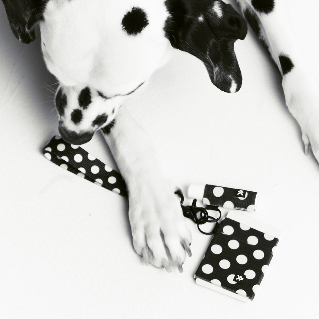 Chapstick Holder Keychain - Polka Dot - Thread¨